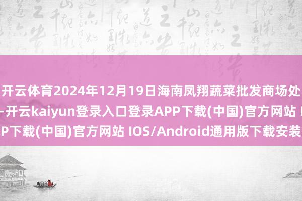开云体育2024年12月19日海南凤翔蔬菜批发商场处理有限公司价钱行情-开云kaiyun登录入口登录APP下载(中国)官方网站 IOS/Android通用版下载安装